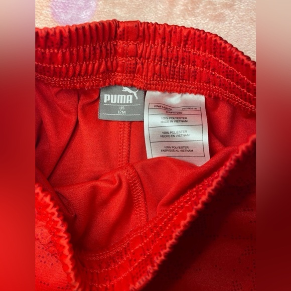 12m baby puma - Picture 6 of 7